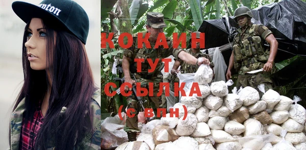 кокс Дмитров
