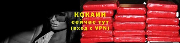 шишки Гусев
