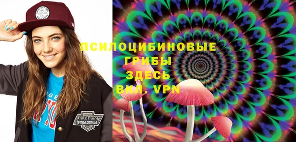 альфа пвп Гусь-Хрустальный