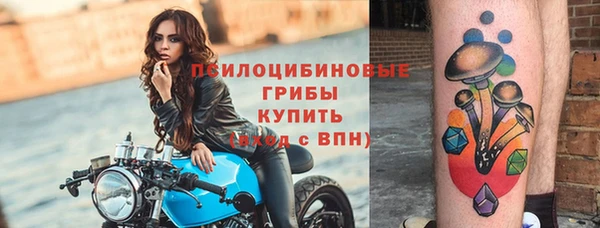 кокс Дмитров