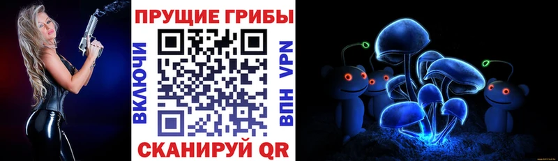 Купить закладки  Солигалич  Галлюциногенные грибы GOLDEN TEACHER 